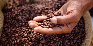 What Makes Organic Coffee Different