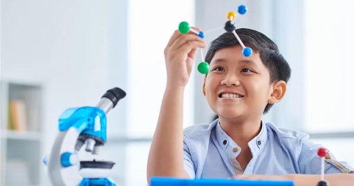 Mastering PSLE Science: Effective Study Strategies for Top Scores