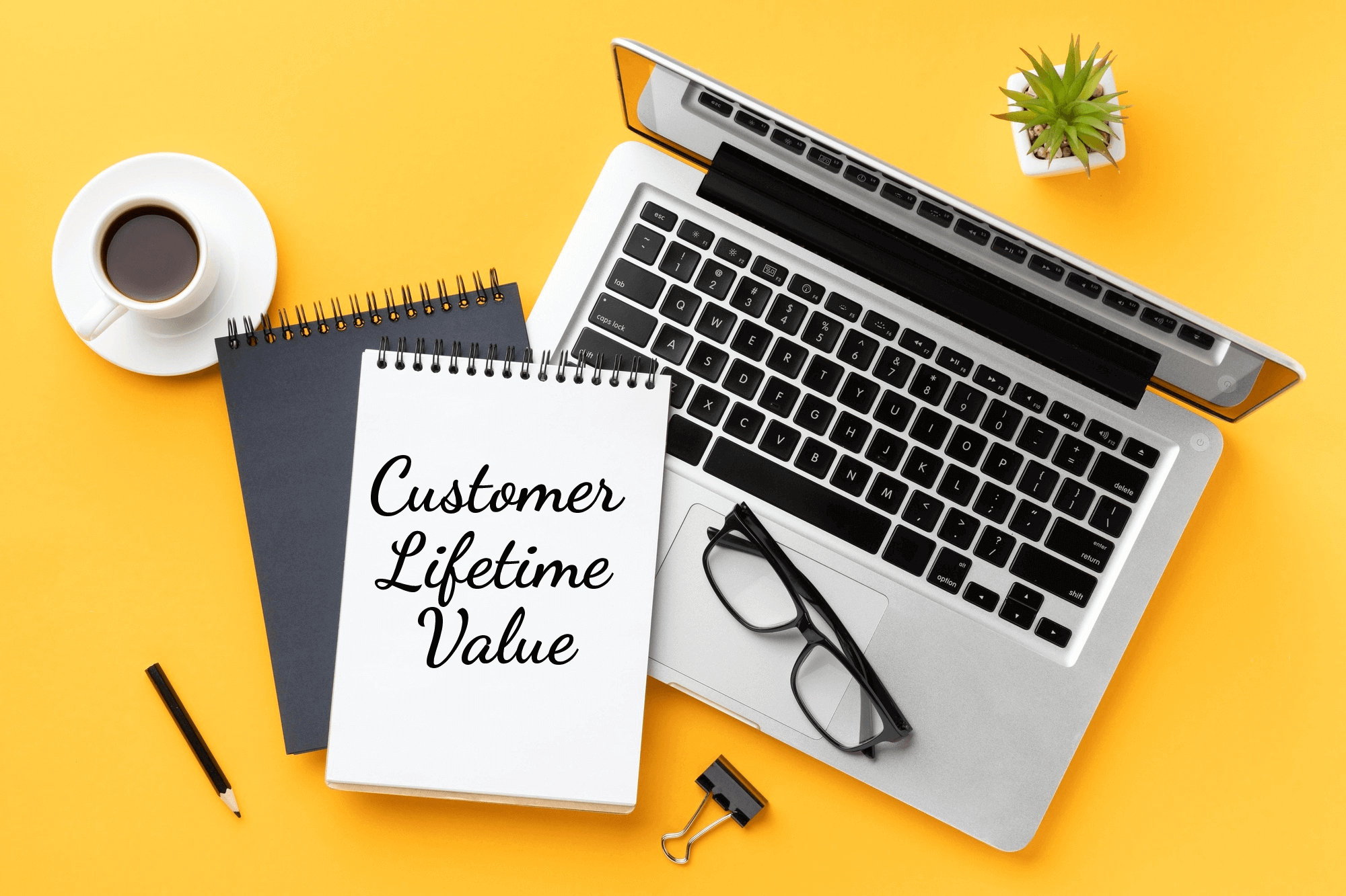 The Role of Customer Lifetime Value in Business Success